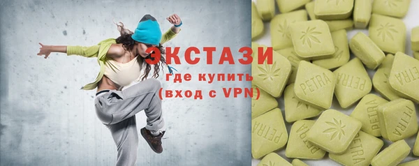 гашик Богородск