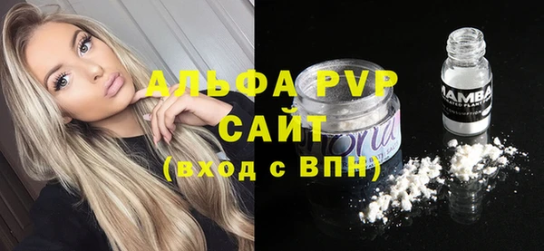винт Богданович