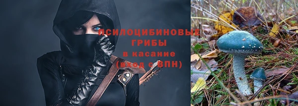 дурь Белоозёрский