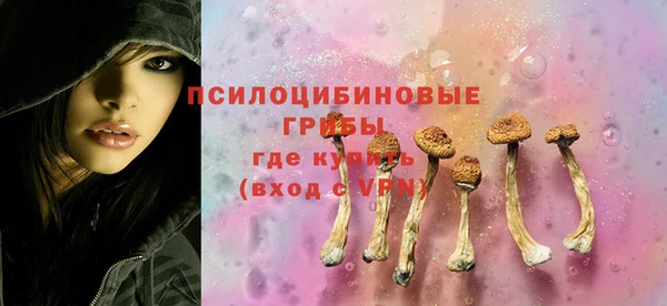 спиды Новокубанск
